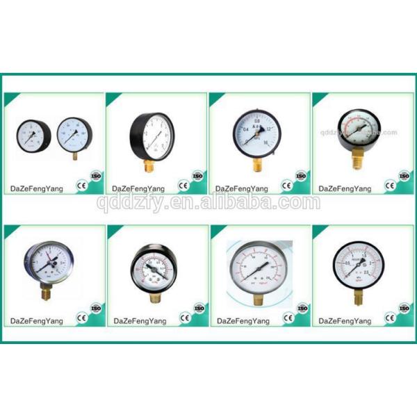 Stainless Steel Bourdon Tube Pressure Gauge 60mm Bottom Connection