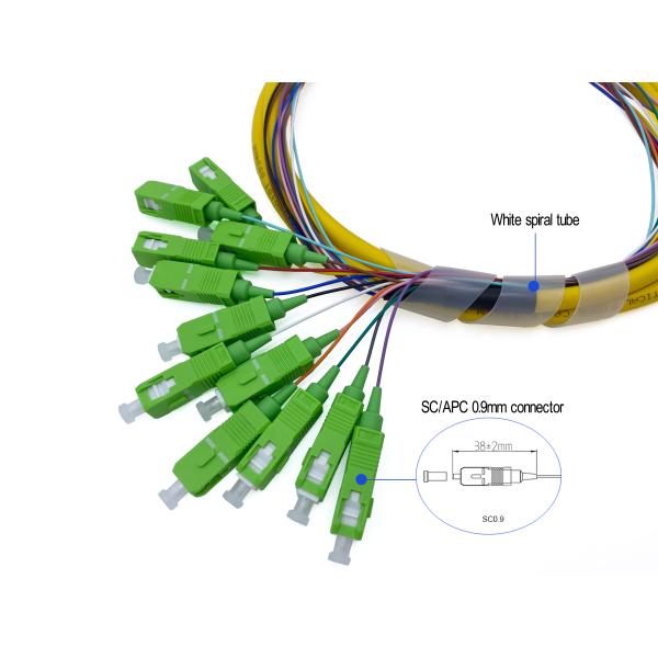 12 Cores FTTH Fiber Optic Pigtail SC APC G652D PVC 900um 1.5Mts Yellow