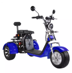 Adult 2000w 3 Wheel Fat Tire Electric Scooter With Seat For Adults 12AH 20AH 40AH