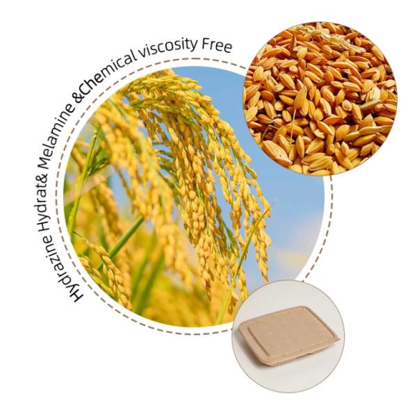 Customizable 3 Division Disposable Compostable To-Go Container Hinged Take Away Food Container Rice Husk Disposable Lunch Box