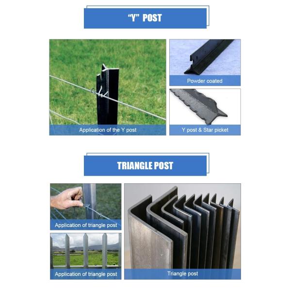 Ornamental Use 2m Y Type Star Metal Fence Posts Hot Dipped Galvanized