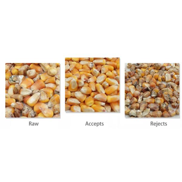 PLC Grain Color Sorter Machine For Size Sorting 12 Chutes