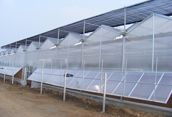 Saved Energy Venlo Greenhouse Structure , PC Sheet Greenhouse No Welded Point