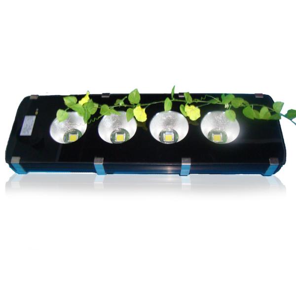 Bridgelux Tunnel Led Lighting , High Lumen Warm White Led Flood Light IP65 200w