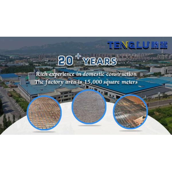 Geogrid for Road Airport Railway Slope and River Bank Surface Resistance Engineering