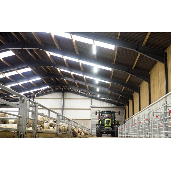 Prefab Steel Structure Sheep Shed Farm Building Design made of Q235 Low Carbon Steel