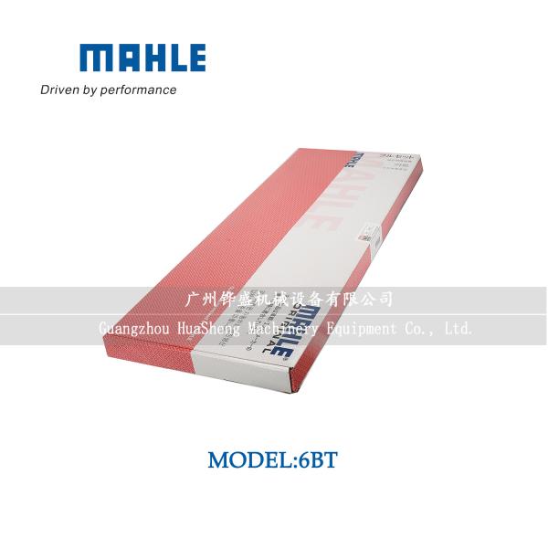 6BT 3802376 Engine Gasket Kit Multipurpose For Cummins CLG920