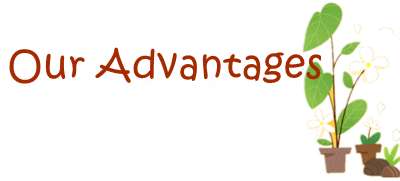 Schneider |TSXPSY1610M Modicon MRO Electric and Supply*Prompt Delivery and large in stock*