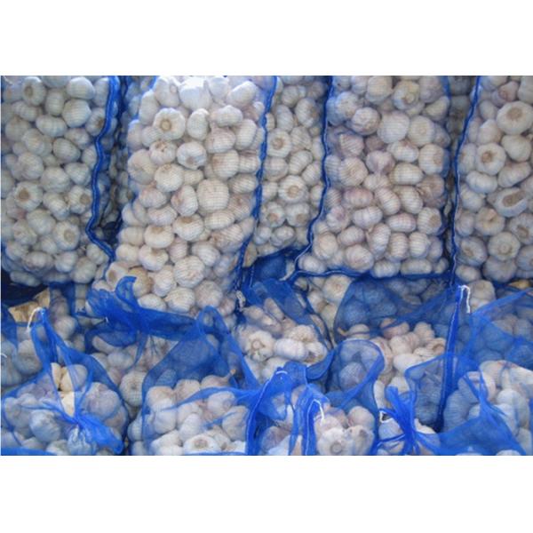 PE Woven Mesh Bags Printed Monofilament Mesh Sacks Wire Mesh Bags