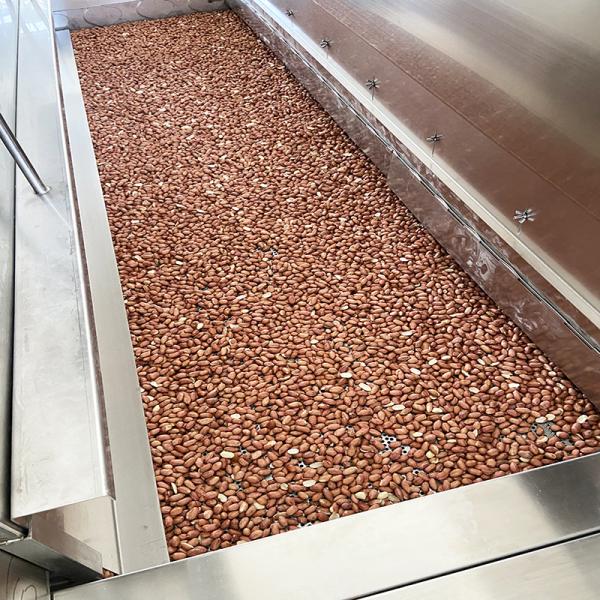 Belt Type Nuts Roaster Machine with Adjustable Conveyor Speed for 50-300℃ Continuous Roasting