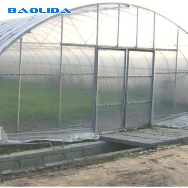 Hydroponic System Tunnel Plastic Greenhouse with Ventilation Insect Net
