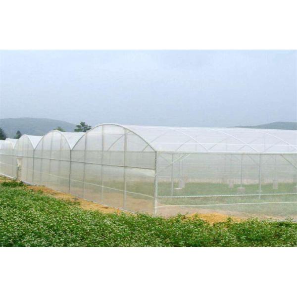 Width Customized Garden Insect Netting 100% New Original HDPE Materials
