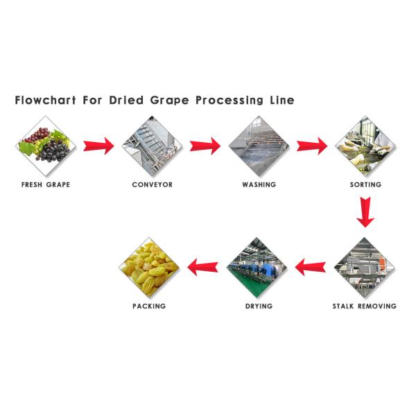 Full Automatic Dried Fruit Processing Equipment Energy Saving 150 T / D