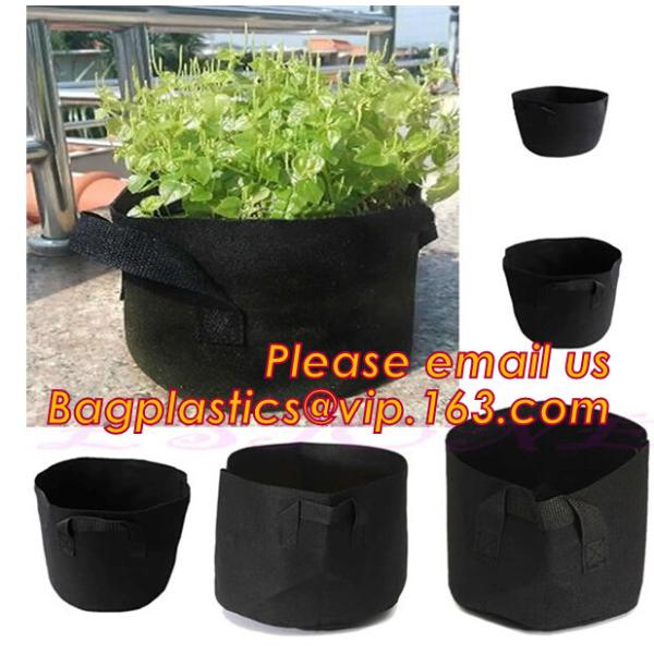 Garden used tomato plastic film cover,high light transmittance solar control seeding nursery greenhouse covers,100% virg
