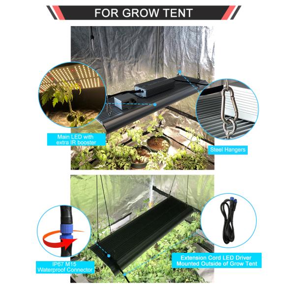 IP65 100w 320w Full Spectrum Quantum LED Grow Lights