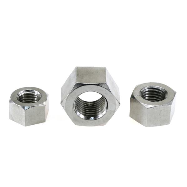 SS316 Hex Head Nuts
