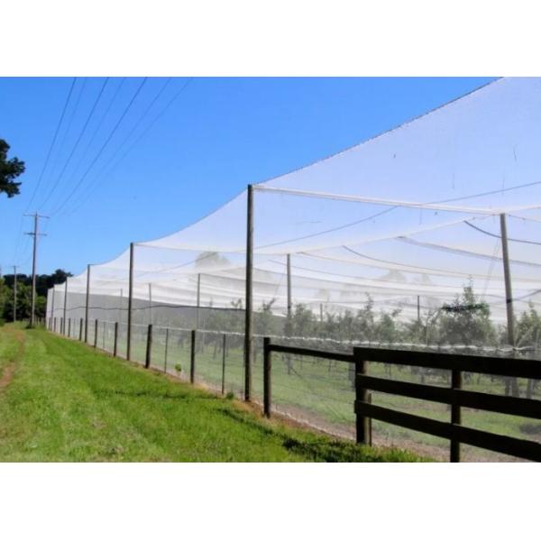 Agricultural Insect Mesh Protection Netting , Insect Fly Screen Mesh