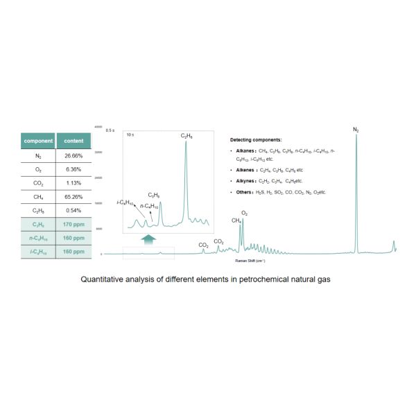 RS2600PAT Online Raman Spectroscopy Analyzer For Analysis Of Multiple Components In Reaction Gases Industrial Explosion-proof Design 3
