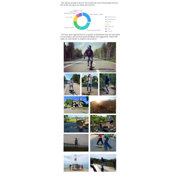 10.5Ah Off Road One Wheel Pint Skateboard Burris Tires