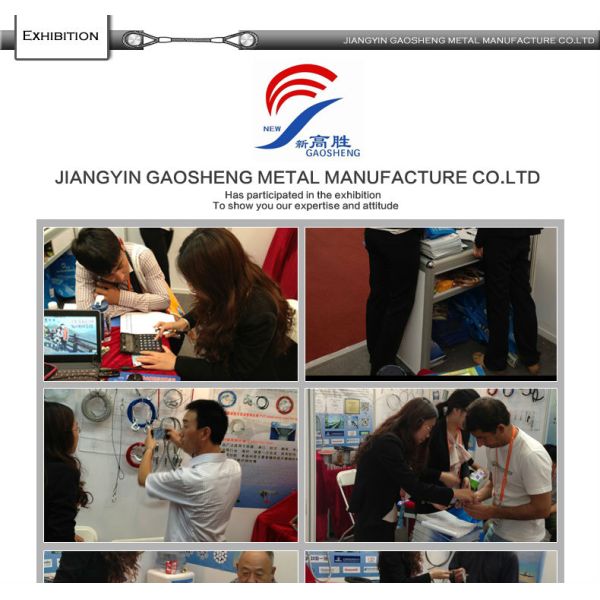 Eco-Friendly Retractable Dog Tie Out Cable with 4.41 KN Breaking Strength and Customizable Length