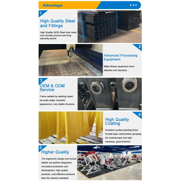 Commercial Gym Equipment Seat Adjustable Pin Loaded Multi Press Machine