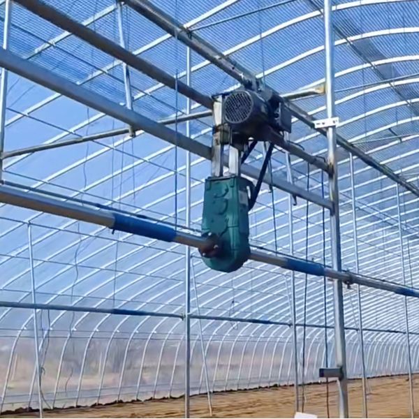 Polytunnel Plastic Tunnel Single Span Agricultural Greenhouse