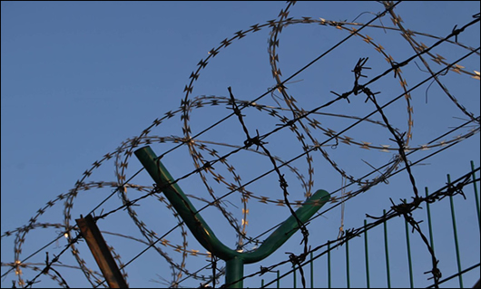 Factory direct supply cheap price customizable Hot Dipped Galvanized Barbed Wire large inventory Import Barbed Wire