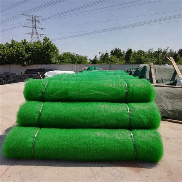 50m Normal Length CE/ISO9001/ISO14001 Certified 3d Geomat Plastic Mesh for Vegetation Protection
