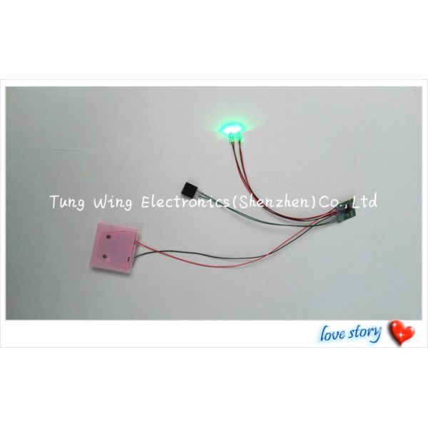 Beautiful Lights 2 Colorful LED And 1 Button Flashing sound chip for toys