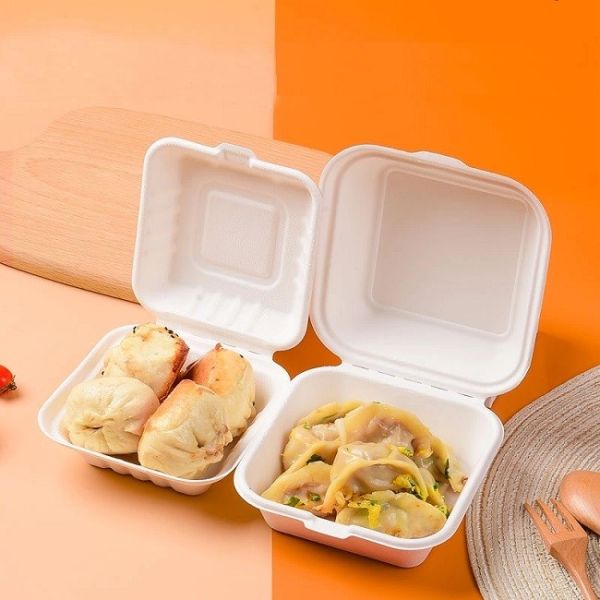 2 Compartments Sugarcane Clamshell Box Disposable Sugar Cane Take Out Containers