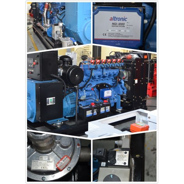 10kw 2000kw Three Phase Portable Natural Gas Generator Set 480V