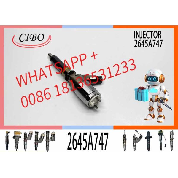 Factory Direct Supply Common Rail 320D injector 2645A747 10R-7939 3200680 for C6.6 engine 320D