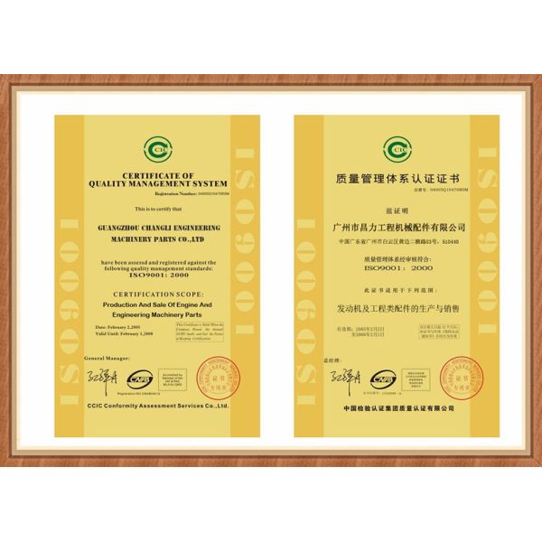 Xinchai NB485BPG Diesel Engine Fuel Injection Pump 4Q250ZH-1 BH4Q75R8 for HELI Forklift