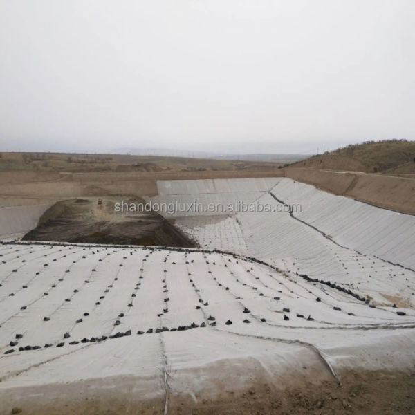 CE/ISO9001/ISO14001 Certified 3D Drainage Net Road Base Geonet for Stable Construction