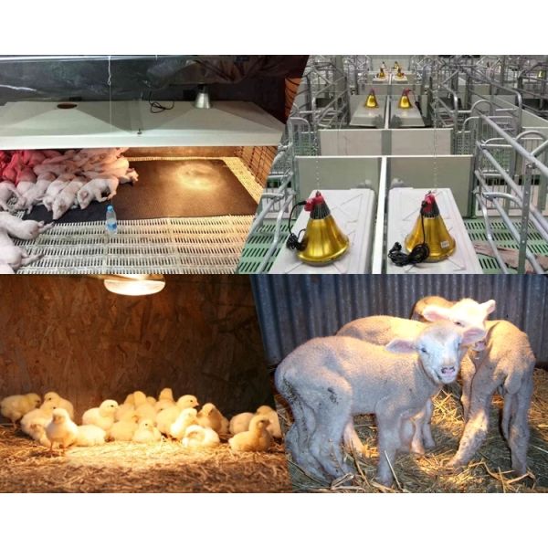 220-240V Pig Farm Industrial Heat Lamp , Poultry Infrared Electric Heat Lamp