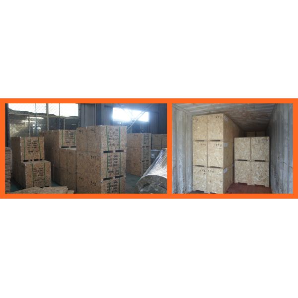 80w 100kva Generator Head Brushless Alternator 50hz Three phase