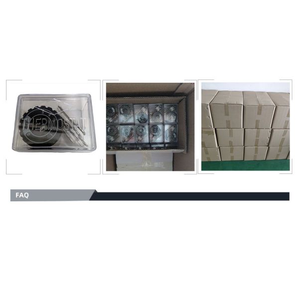 50-250 C Temperature Control Electric Iron Thermostat with Endurance Test Cycle of 100