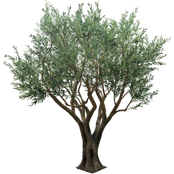 Factory Price Large Artificial Olive Tree, a Large Ornamental Fiberglass Tree for Indoor Restaurants and Shopping Malls