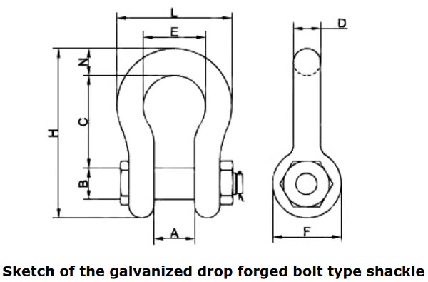 Drop Forged 55T Screw Pin Anchor Shackle Galvanized Bolt Type Bow Shackle
