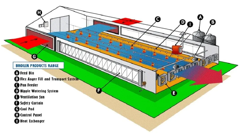 ISO Certified Prefab Poultry House Automatic Manure Removal Feeding System