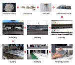 Automatic Disposable Lunch Box Thermoforming Machine