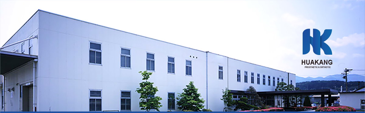 Breathable Foam CE Orthotic Brace , PE Support Plate Medical Cervical Collar