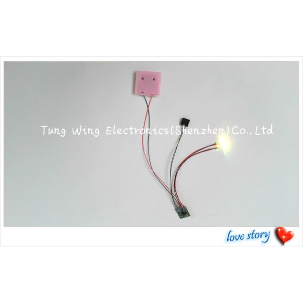 Beautiful Lights 2 Colorful LED And 1 Button Flashing sound chip for toys