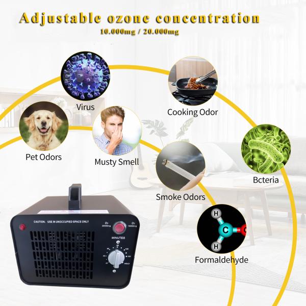 10000mg/H Portable Ozone Machine / Air Ozone Machine For Musty Basement Odor Eliminator