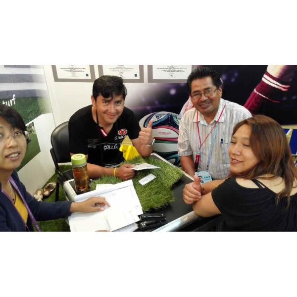 Industrial Natural Gas Filter Element F-1602 749KF for Energy Mining Applications