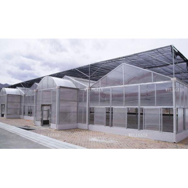 Crop Growth Polycarbonate Greenhouse With Snow Resistant Aluminum Frame