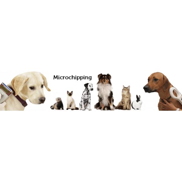 Dog / Cat RFID Glass Tube Transponder 2.12*12mm Size ICAR Certification