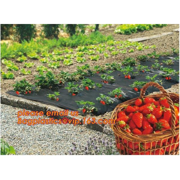 Panda Film for Blackout Greenhouse/Black-White Poly is UV-Stabilized Plastic Mushroom,0.1mm 0.12mm 0.15mm 0.18mm 0.2mm 0