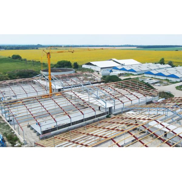 Prefab Steel Structure Sheep Shed Farm Building Design made of Q235 Low Carbon Steel