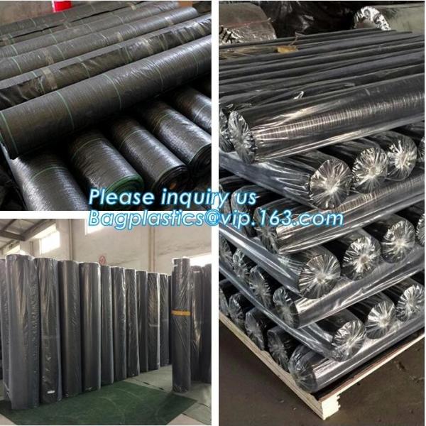 Garden used tomato plastic film cover,high light transmittance solar control seeding nursery greenhouse covers,100% virg